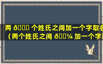 两 🐛 个姓氏之间加一个字取名（两个姓氏之间 🌼 加一个字取名怎么取）